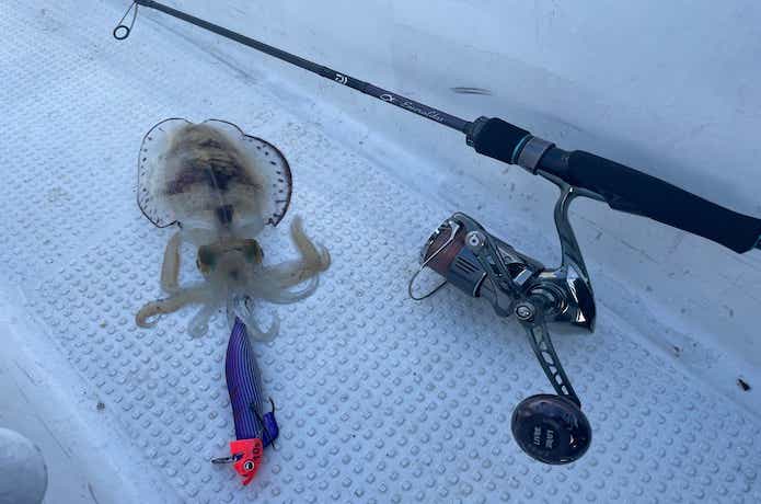 エメラルダスMX ボートをインプレ！クラス最高レベルの感度でした