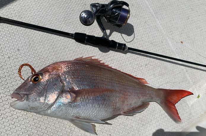 ラグゼ 桜幻XXを実釣インプレ！春の難関フィールドで真価を検証