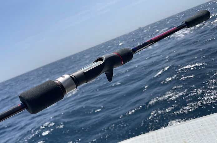 ディープライナー マニアフェロー46 ディープライナー マニアフェローズ46