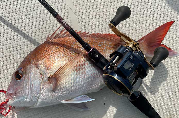 紅牙 EXを実釣インプレ！使ってわかったフラッグシップモデルの魅力と