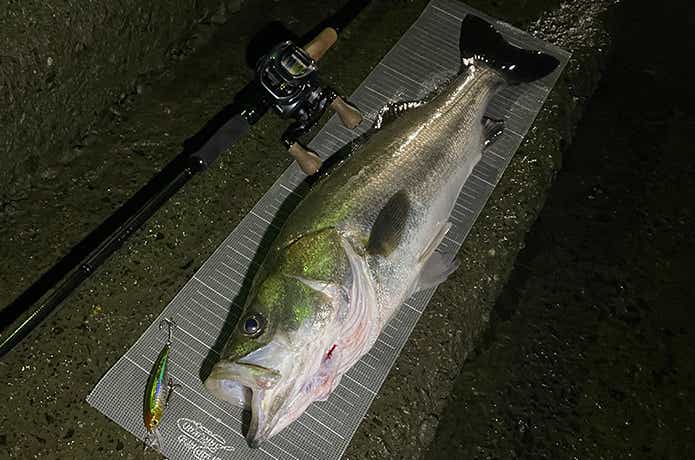 ファントムリベラリスト803M+RSBを実釣インプレ。万能ベイトロッドの