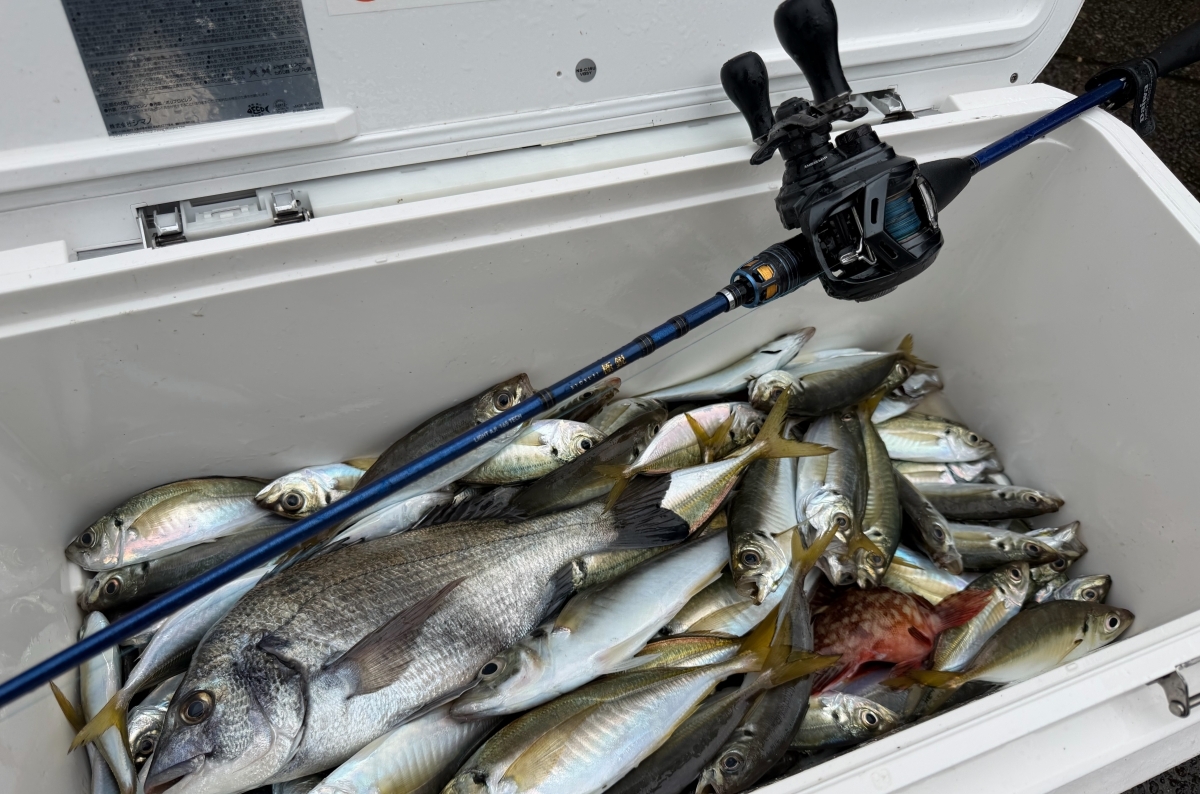 極鋭ライトアジをインプレ。“値段の理由”を検証してきた | TSURI HACK