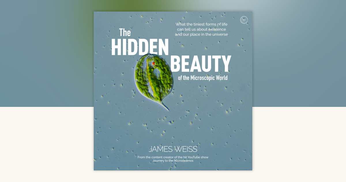 The Hidden Beauty of the Microscopic World by James Weiss