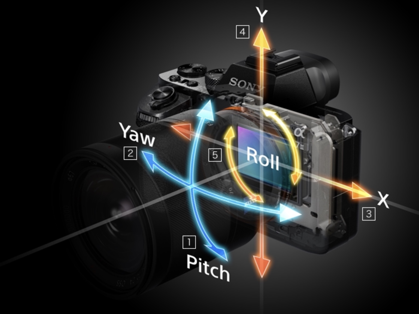 最高の出会い。カメラ初心者がミラーレス一眼SONY α7II（ILCE-7M2）を