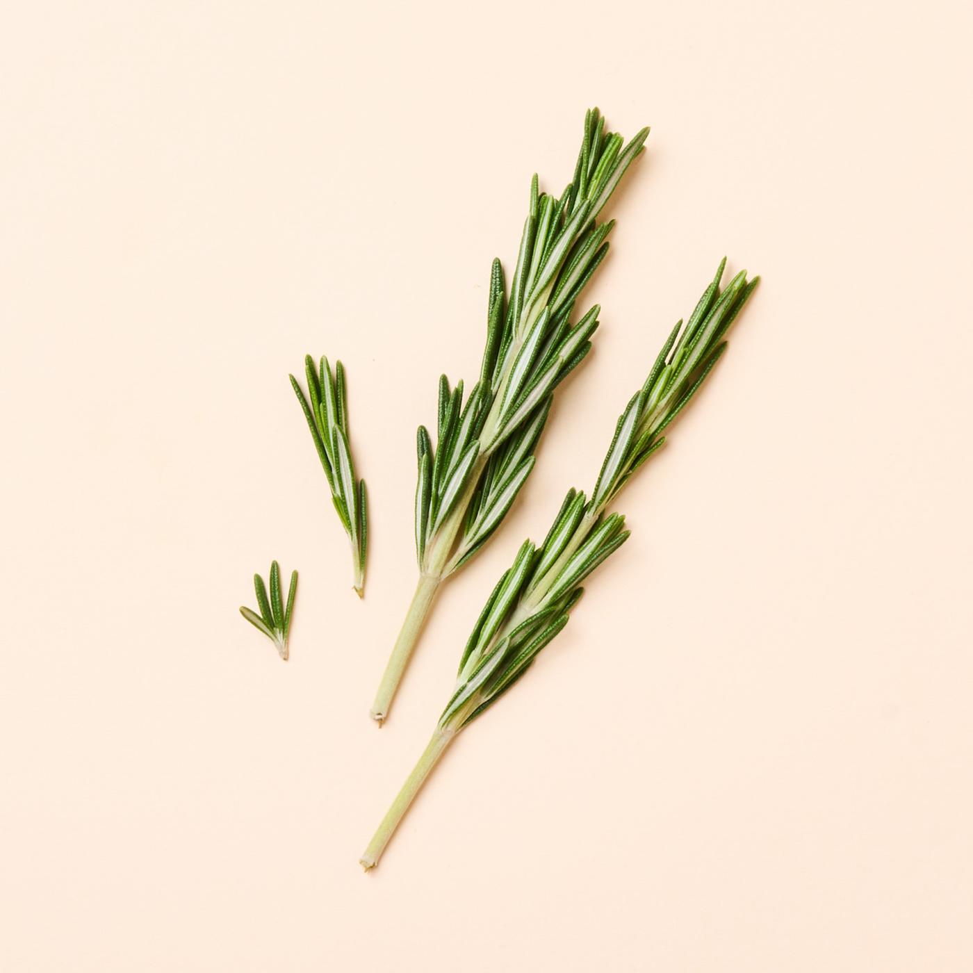 Get Organic Rosemary Delivered | Misfits Market
