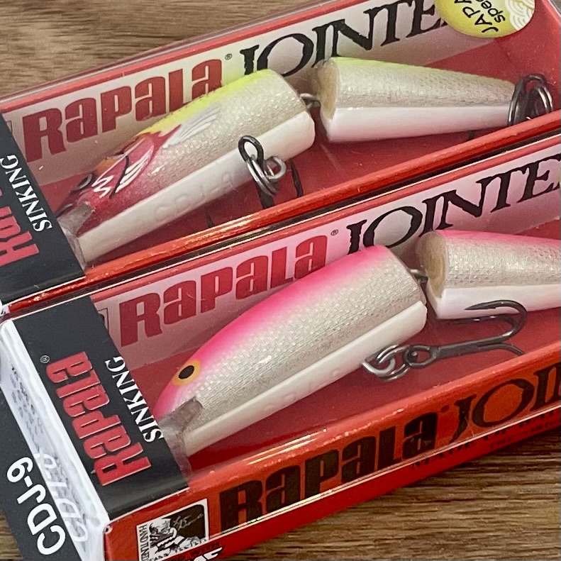 2024/8/1 本日の入荷！！ | ハニースポット ブログ