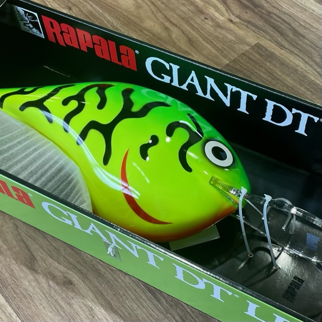 2024/8/1 本日の入荷！！ | ハニースポット ブログ