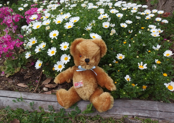 ファーネル社のテディベア - 英国カントリー雑貨「インテリア雑貨の