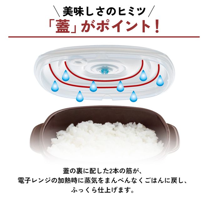 真空おひつ ] 真空ポンプ付き 真空保存容器 電子レンジ対応 密閉
