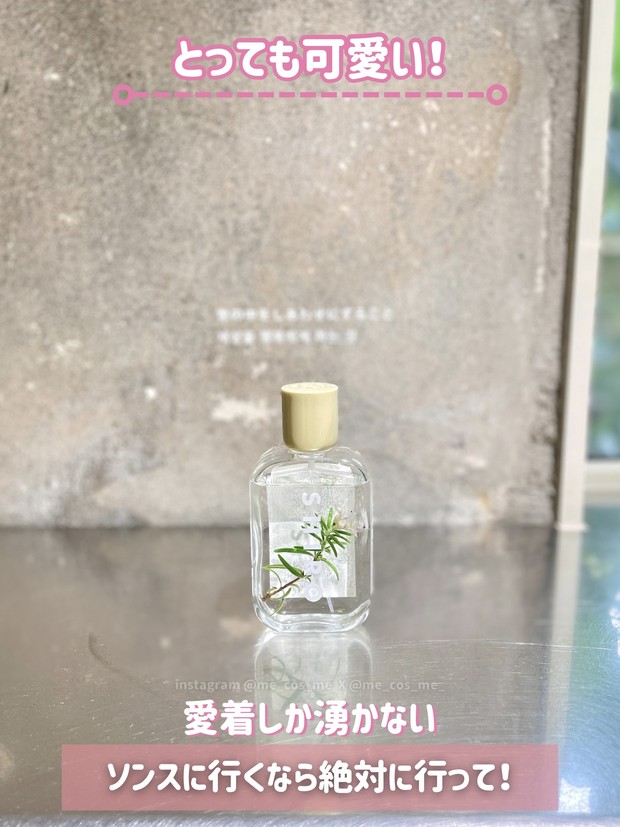 韓国限定】SHIROで香水作りin韓国ソンス | 集英社の美容総合メディア