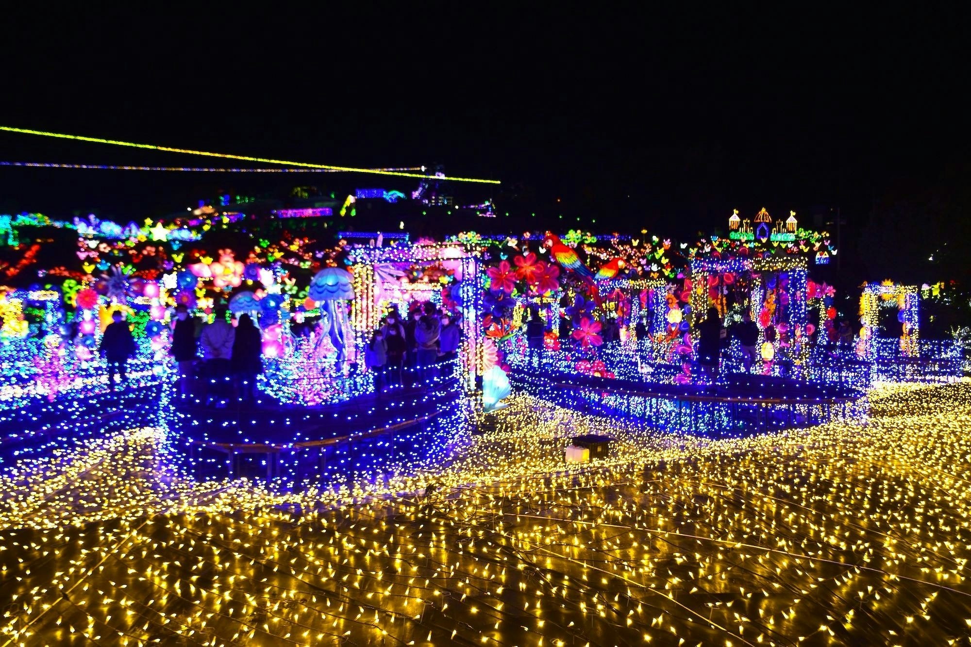 体験型イルミネーション静岡県の「伊豆高原グランイルミ」の見どころを