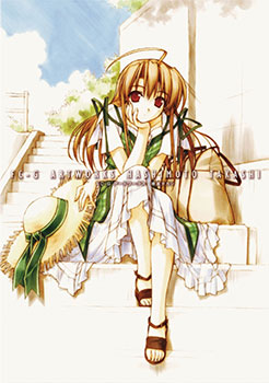 FC-G アートワークス 橋本タカシ イラスト集（書籍）[A-LIFE]《在庫切れ》