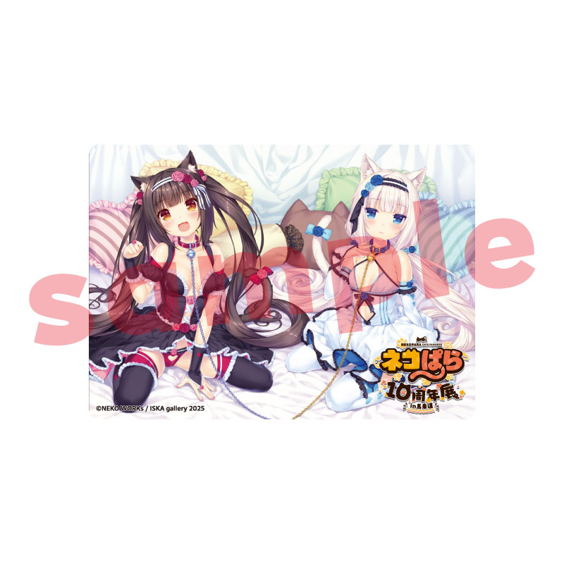 ネコぱら10周年展in馬車道』 アクリルトレカ 10個入りBOX[キャラマ