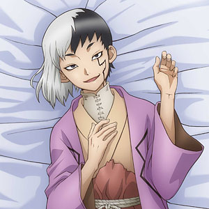 Dr.STONE 抱き枕カバー 描き下ろし プレミアム抱き枕カバー あさぎり