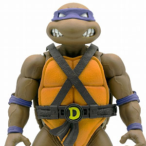 ティーンエイジ・ミュータント・ニンジャ・タートルズ ケイシー