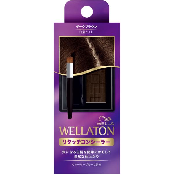 ウエラトーン リタッチ コンシーラー ダークブラウン 2.1g ウエラ
