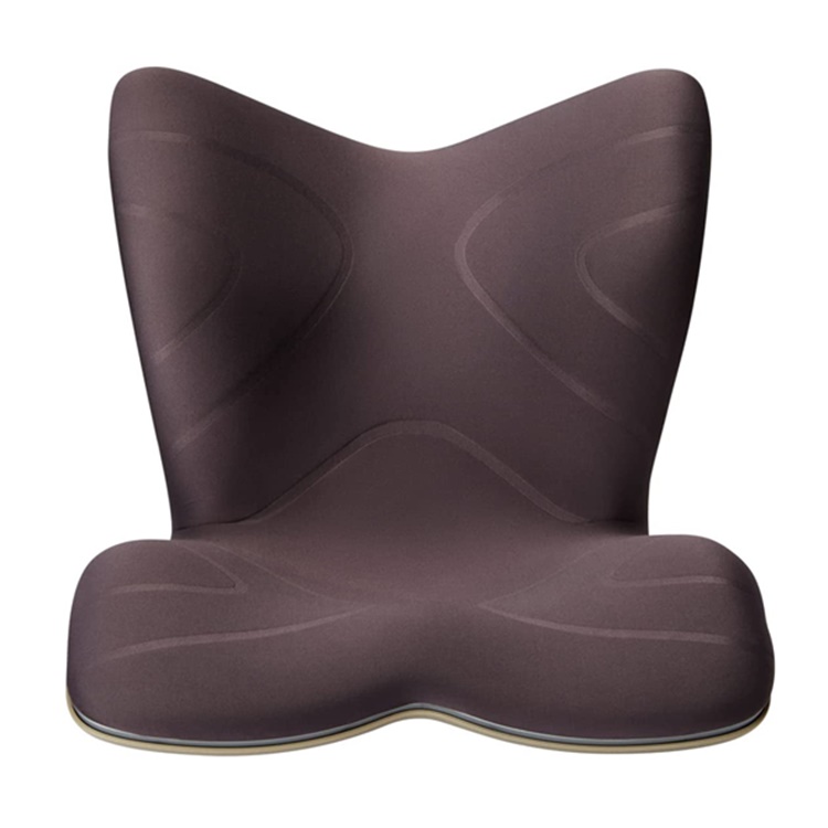 MTG Style PREMIUM スタイルプレミアム 腰痛 骨盤 姿勢 | イオン