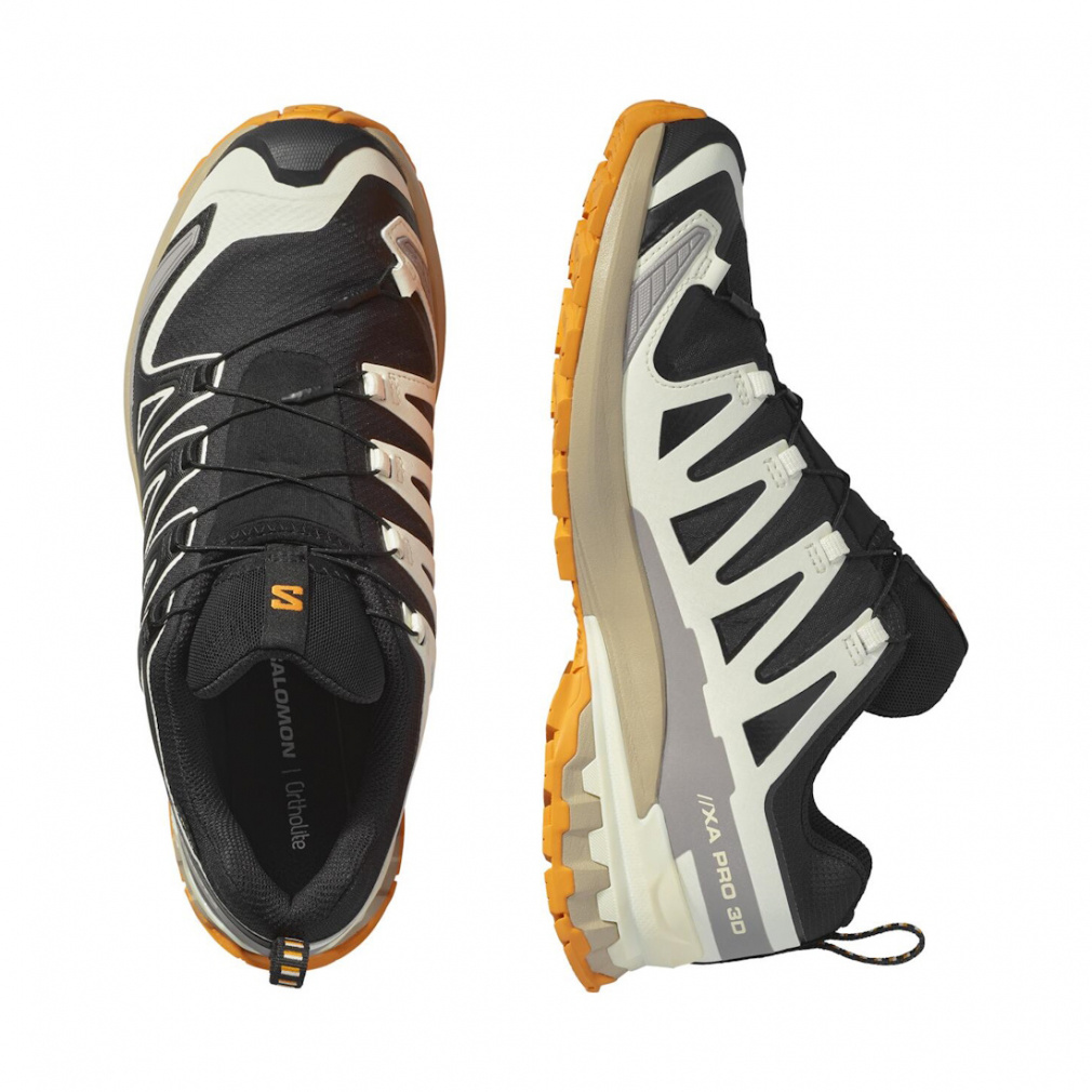 2025秋冬 サロモン エックスエー プロ 3D V9 ゴアテックス L47881900