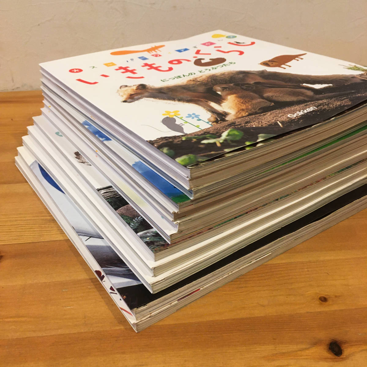 Gakken スーパーワイドずかん 全12巻 学研 Gakken スーパーワイド図鑑