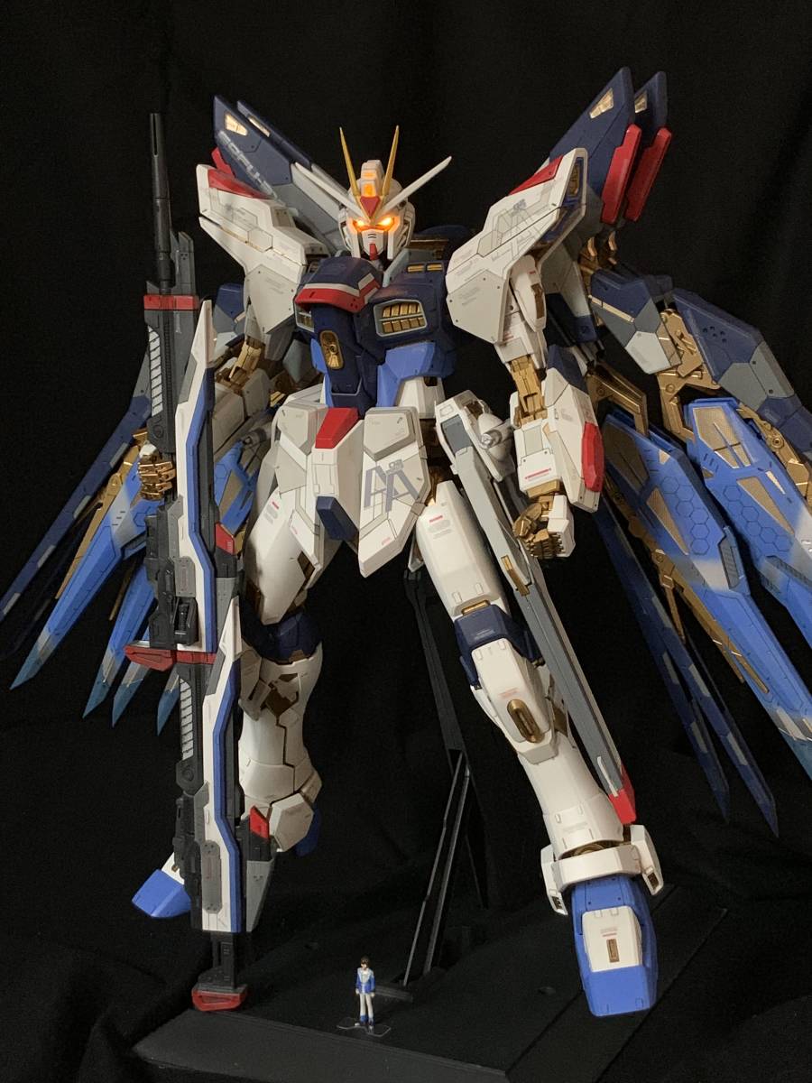 PG 1/60 ストライクフリーダムガンダム 素組 ジャンク ガンダムSEED