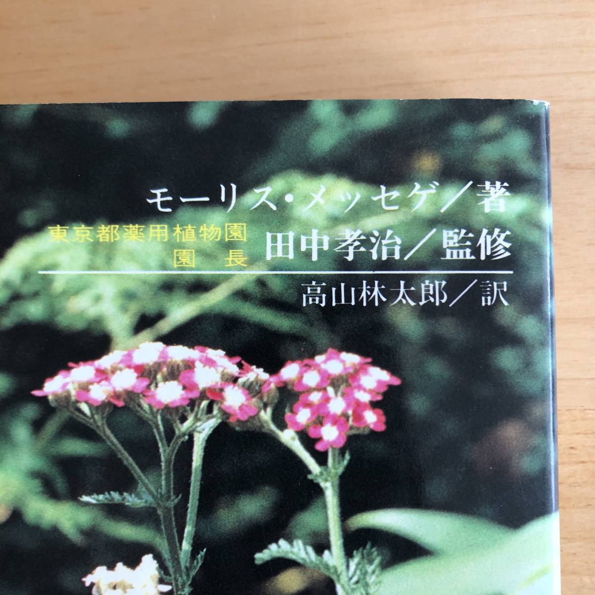 メッセゲ氏の薬草療法 ハーブ 薬草 自然療法 本 自然の友社 モーリス