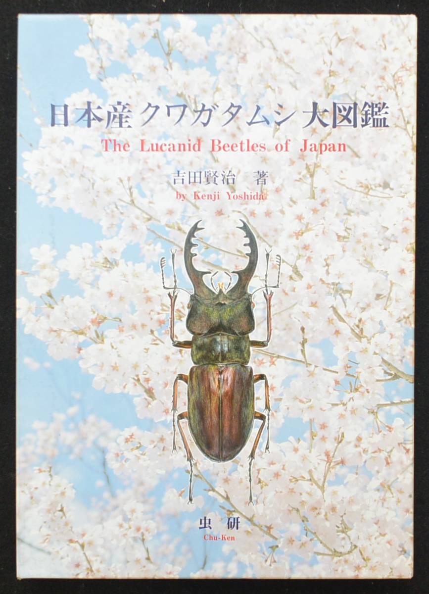 日本産クワガタムシ大図鑑／吉田賢治／虫研