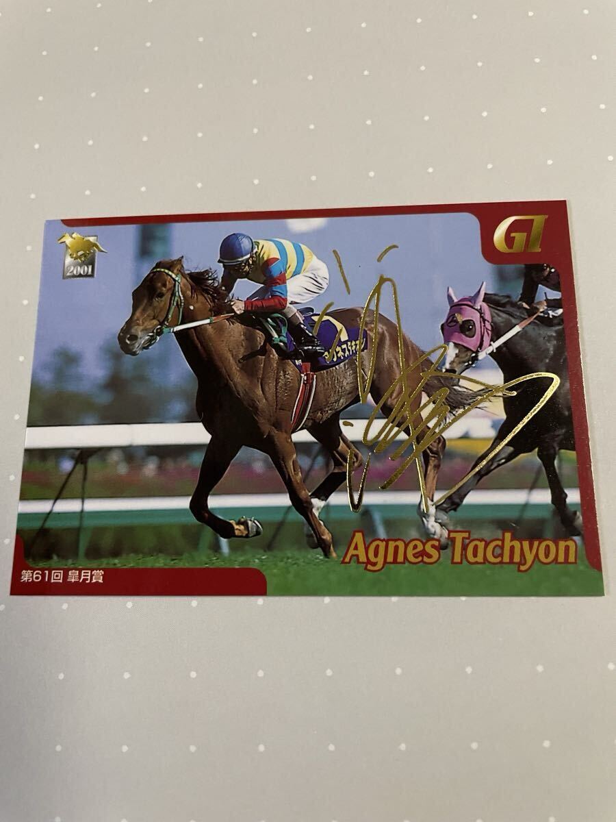 競馬ファン必見！競馬優勝レイ 2001年報知杯弥生賞額装（実物