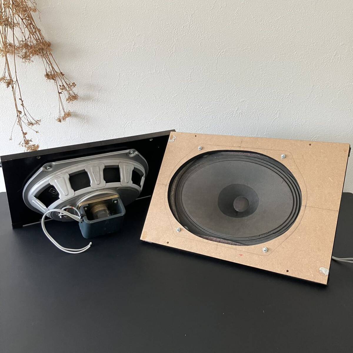 イソフォン イソネッタ ISOPHON ISONETTA 楕円フルレンジ スピーカー