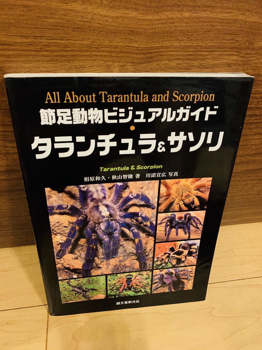 節足動物ビジュアルガイド『タランチュラ＆サソリ』