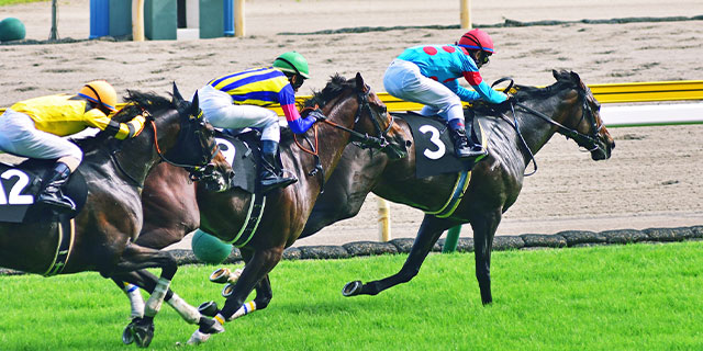 藤田菜七子元騎手ら「スマホ不適切使用」でルール厳格化も防げなかった