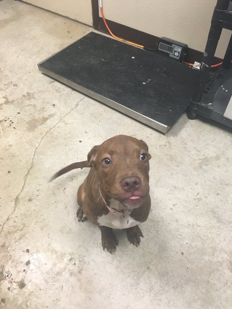 A 21-Year-Old Has Inspired People To Share Photos Of 