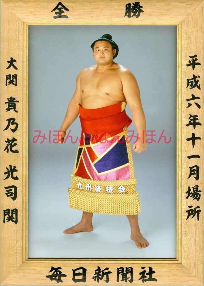 貴乃花光司関 優勝ミニ額 大相撲ミニ額 大相撲優勝額 平成6年11月