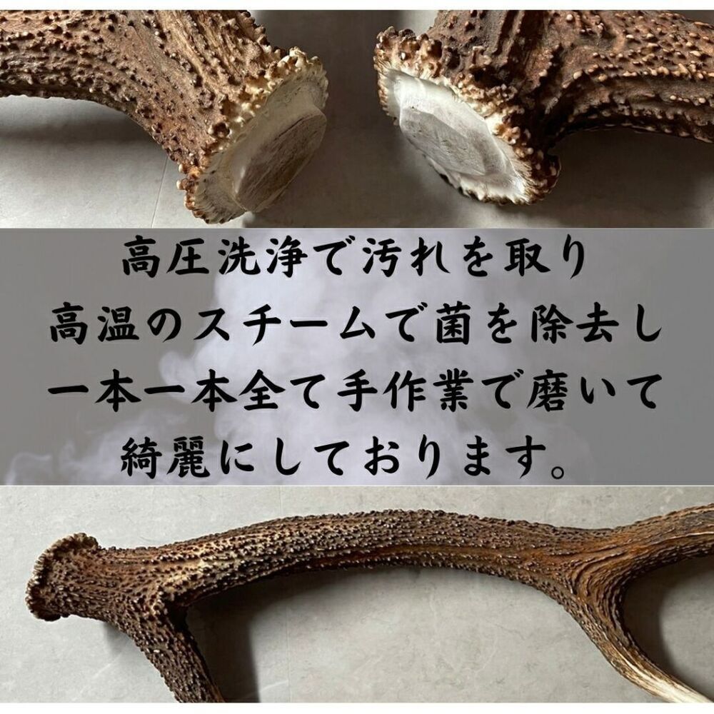 無添加品】鹿の角 5cm前後を100g分セット☆ アクセサリー用 パーツ