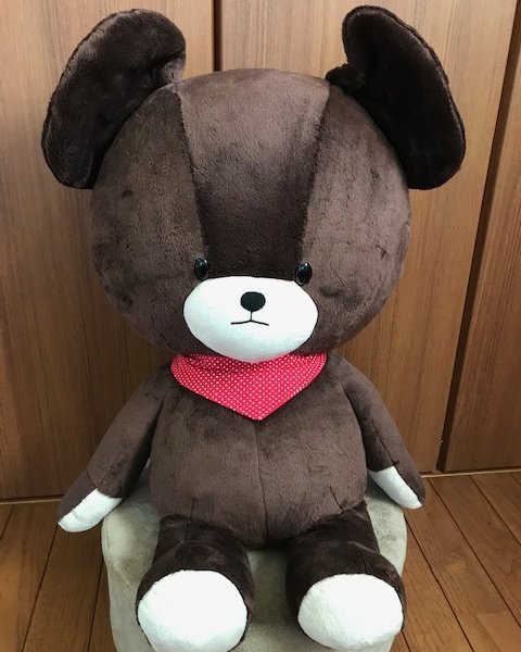 新商品 数量限定特典 UFOバルーン付き ビッグサイズのくまのがっこう