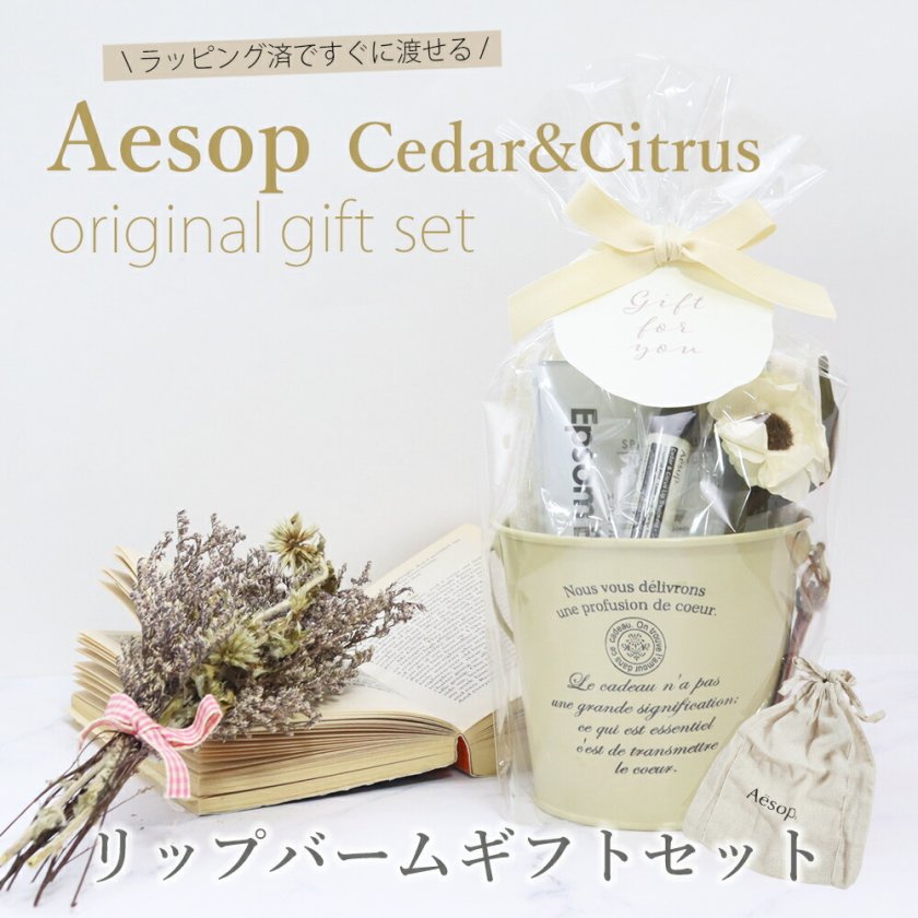 イソップ リップトリートメント ギフトセット ハンドタオル エプソム