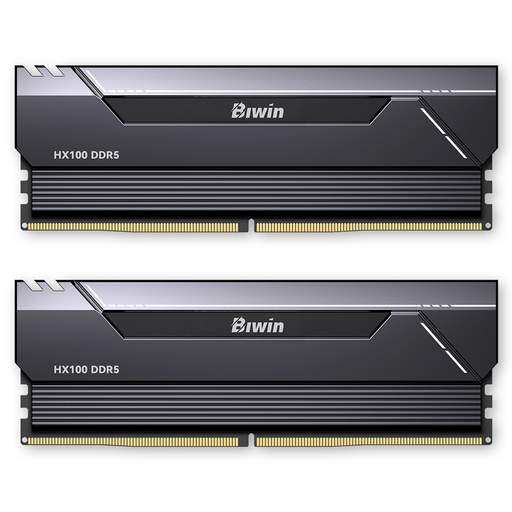 BIWIN DDR5-6000 CL28 HX100 블랙 패키지 (48GB(24Gx2)) : 다나와 가격비교
