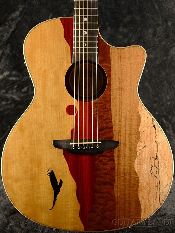 Luna Guitars Vista Eagle Tropical Wood A/E【エレアコ】【オンライン