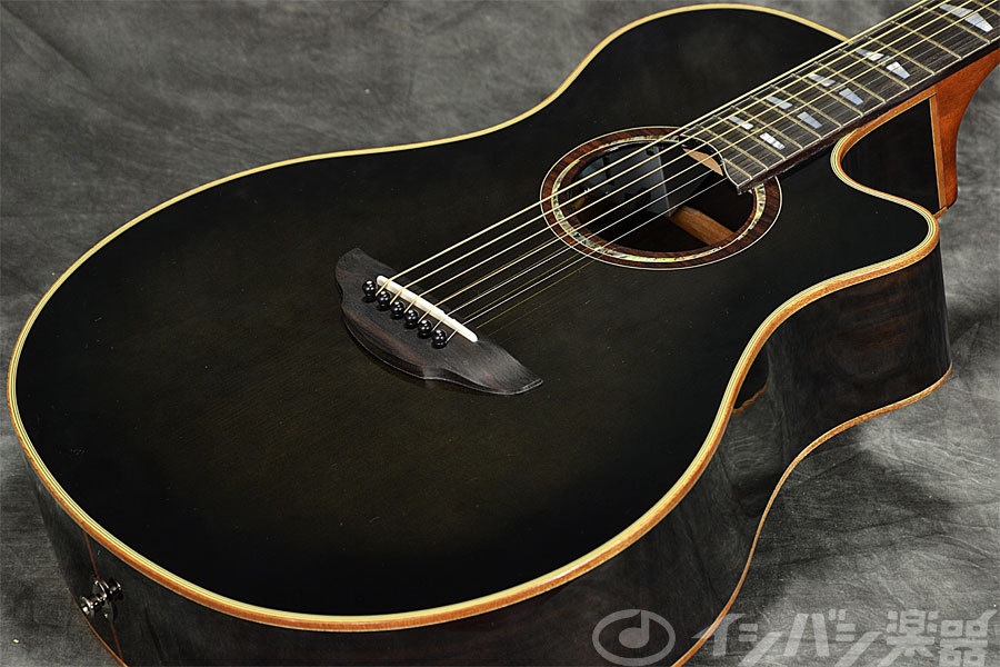 YAMAHA APX1200 II Translucent Black (TBL) ヤマハ エレアコ