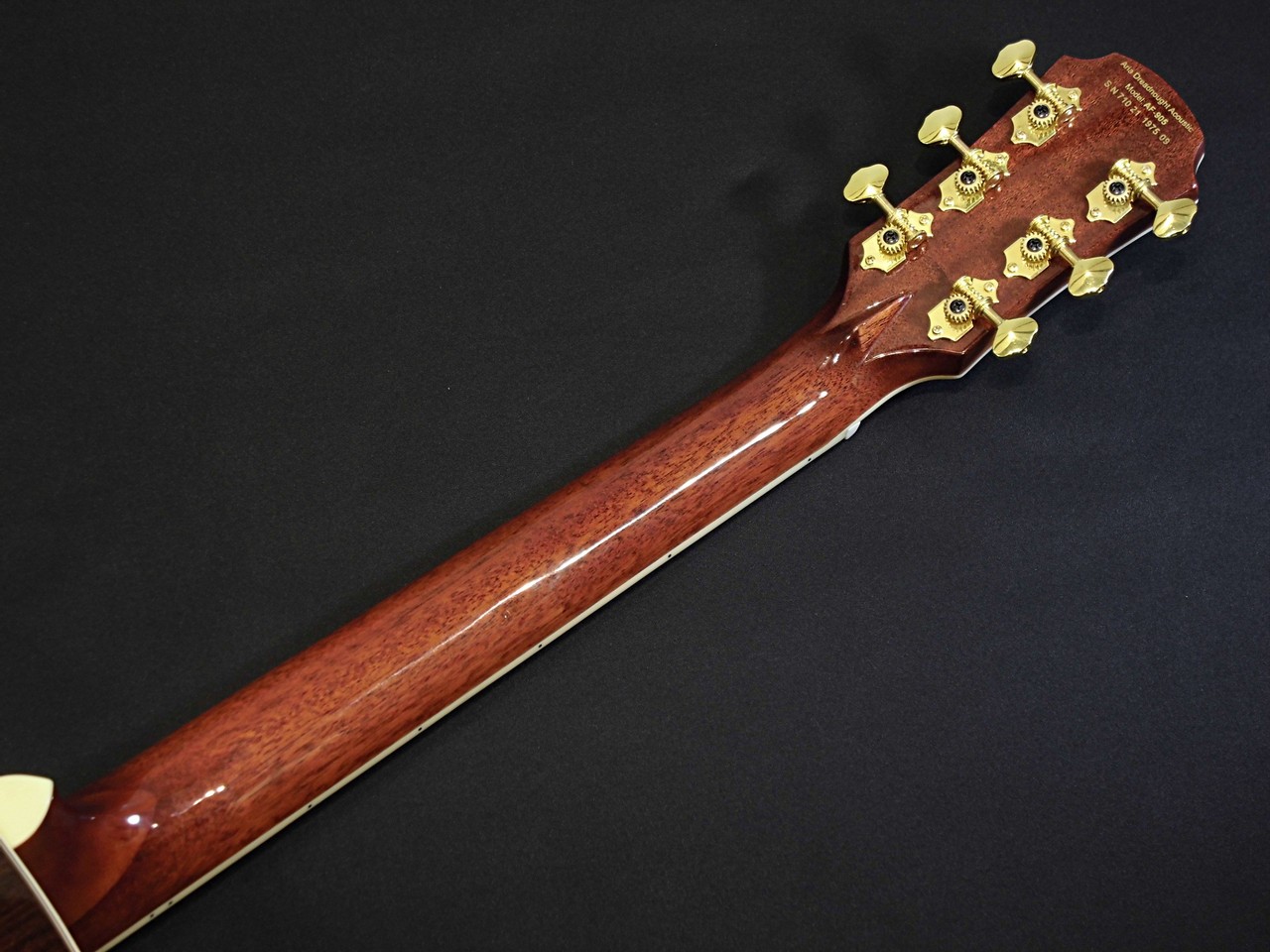 ARIA AF-905 -Aria Dreadnought-【生産完了品】【オール単板