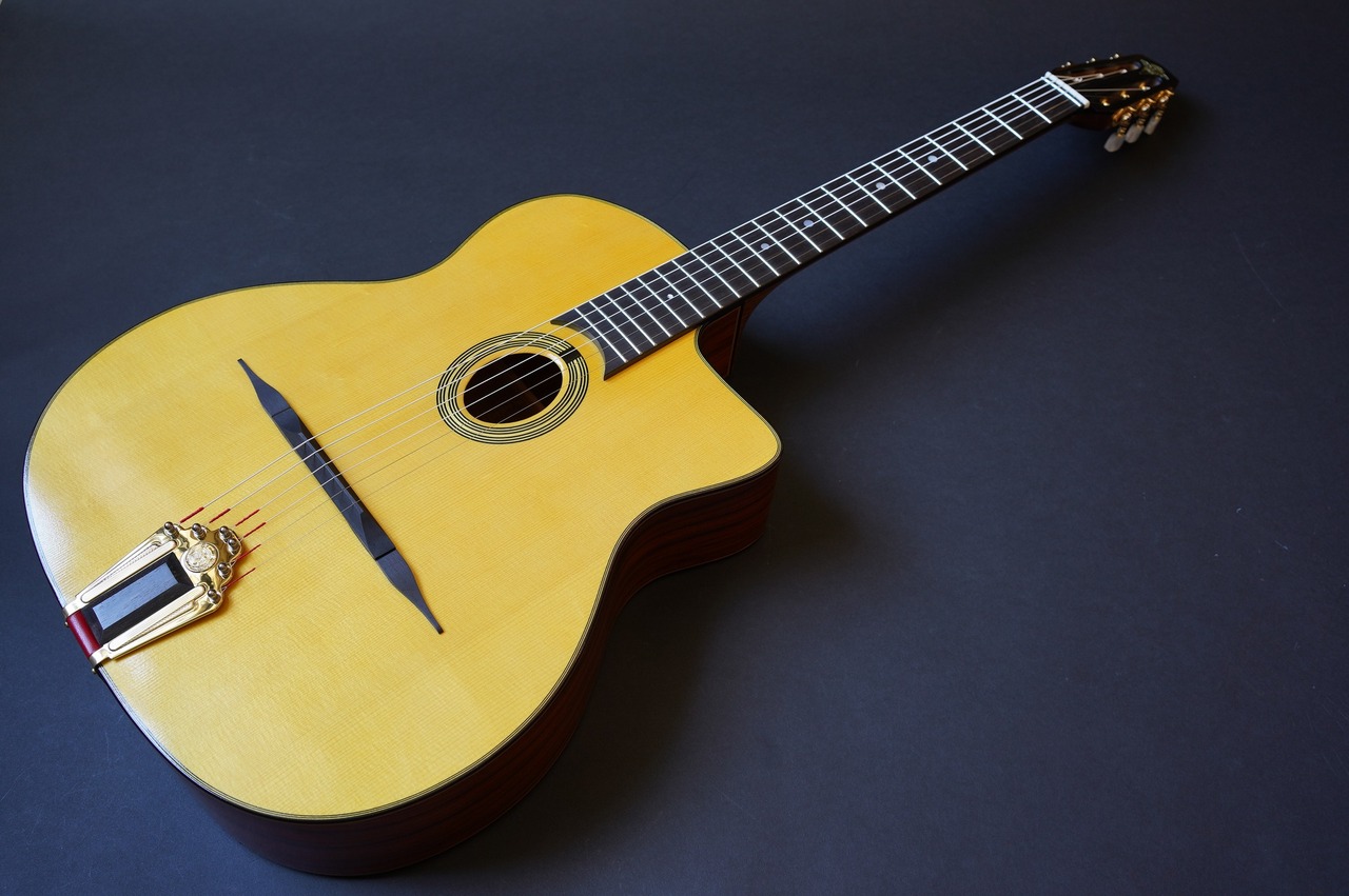 Stringphonic Advanced Oval（新品/送料無料）【楽器検索デジマート】