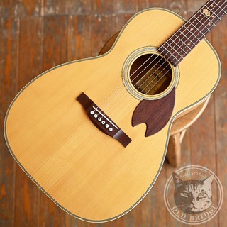 アコースティックギター／エレクトリック・アコースティックギター