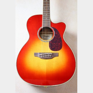 アコースティックギター／エレクトリック・アコースティックギター