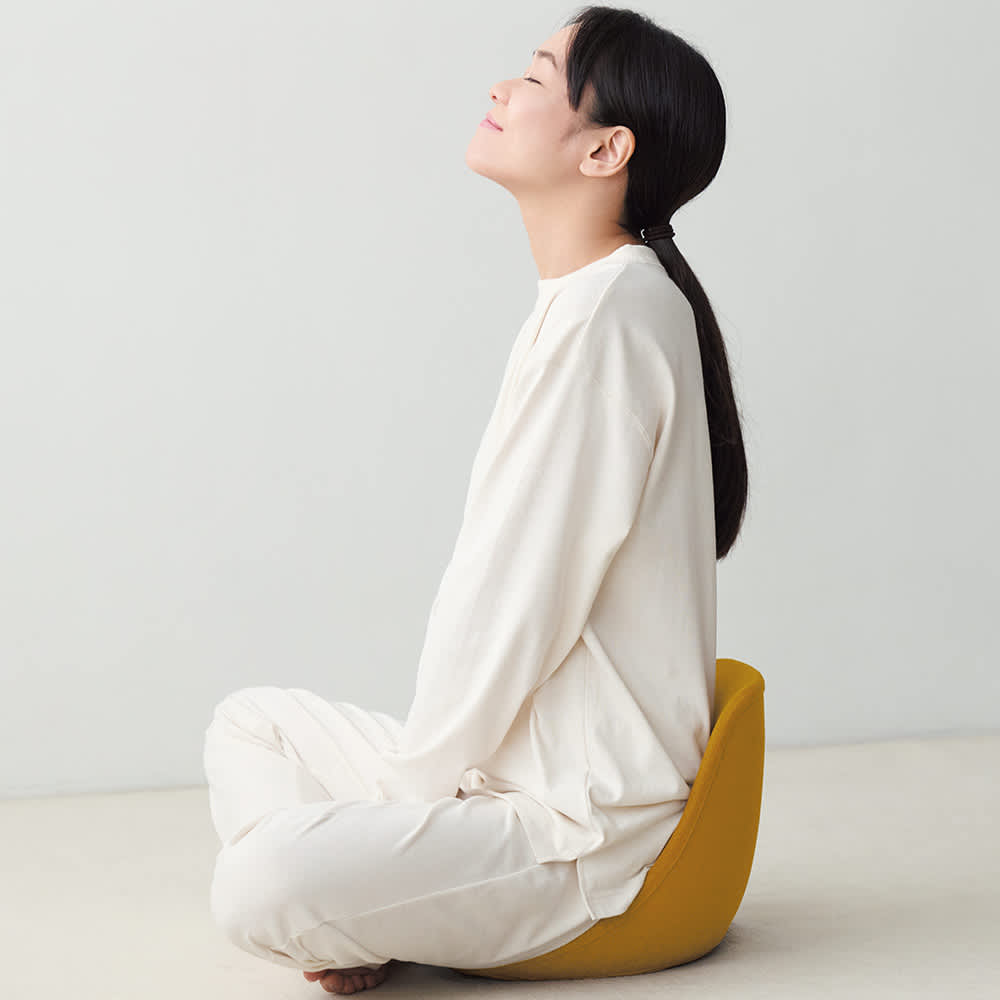 & MEDICAL/アンドメディカル クラシート ハイバック 通販 - ディノス