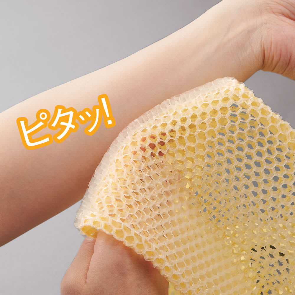 スプラコール ハニカム ボディ用スポンジ 通販 - ディノス