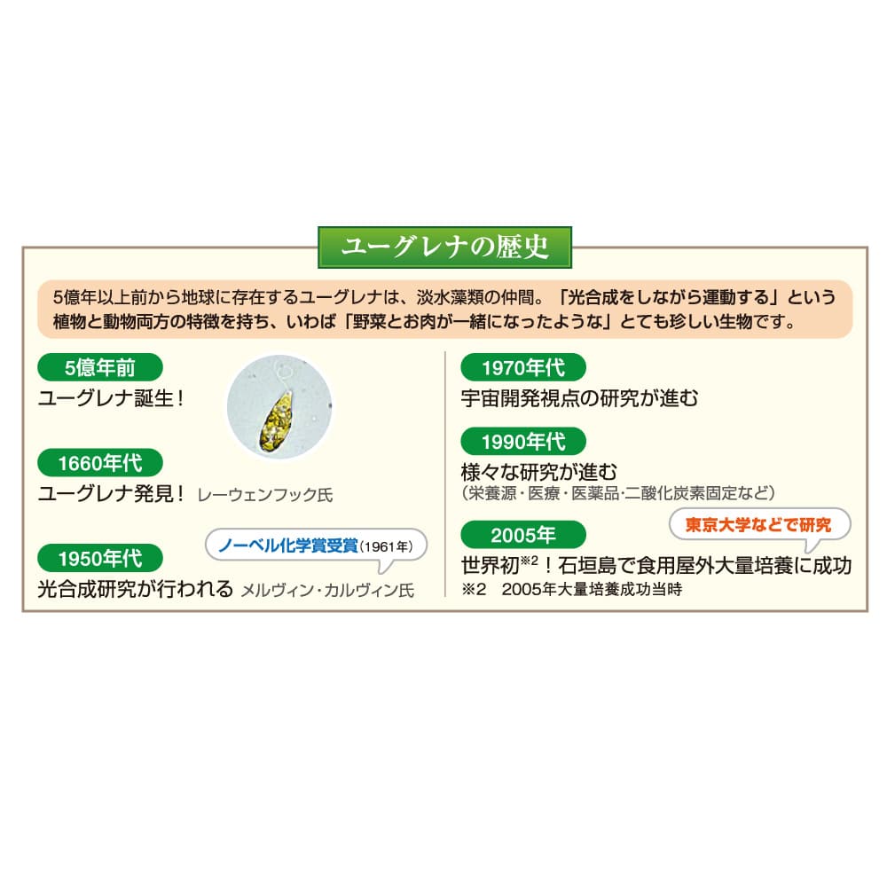 ハイ・ユーグレナ （360粒） 2本セット 通販 - ディノス