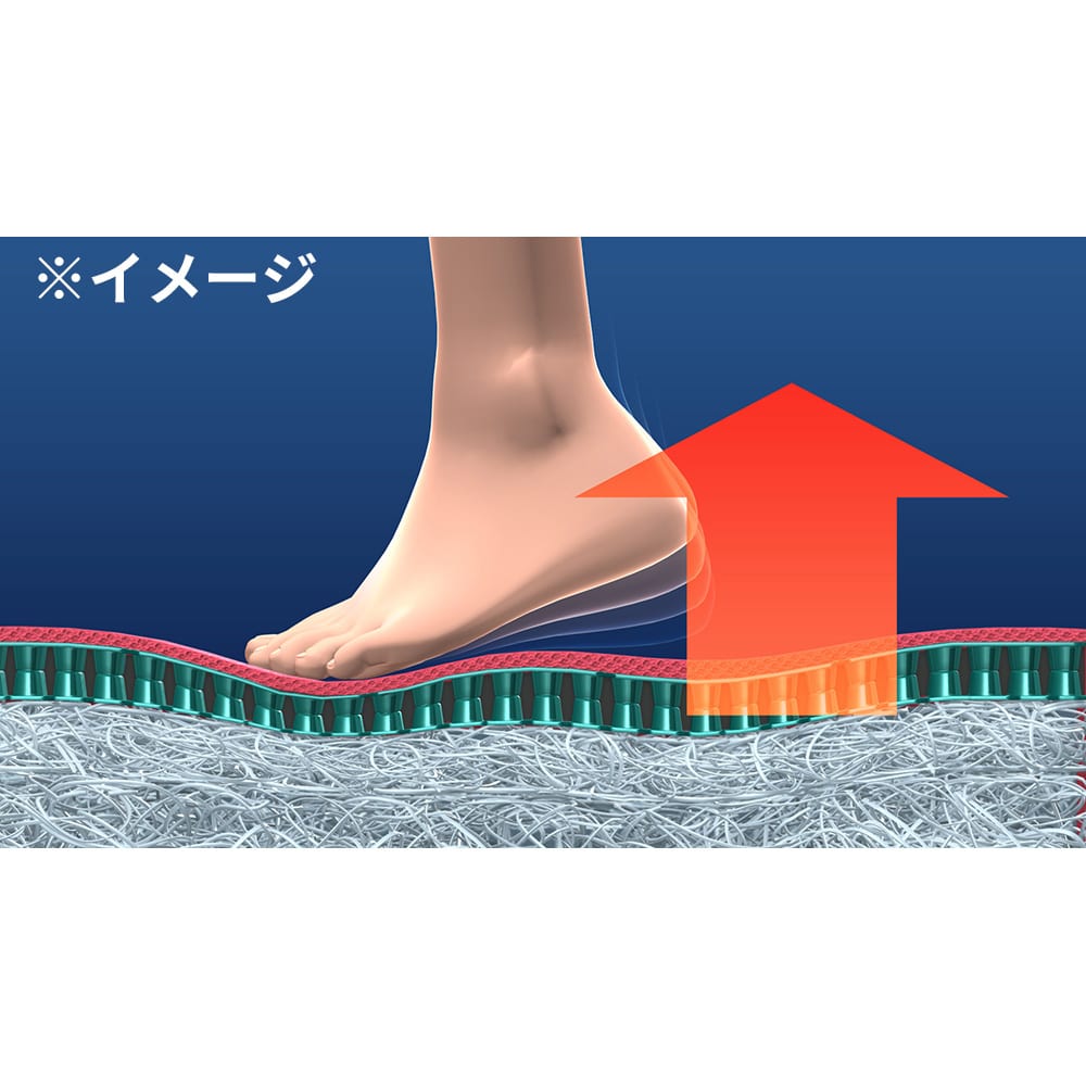 パーフェクトエクサ 通販 - ディノス