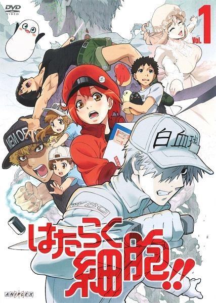 はたらく細胞!! 1 | アニメ | 宅配DVDレンタルのTSUTAYA DISCAS