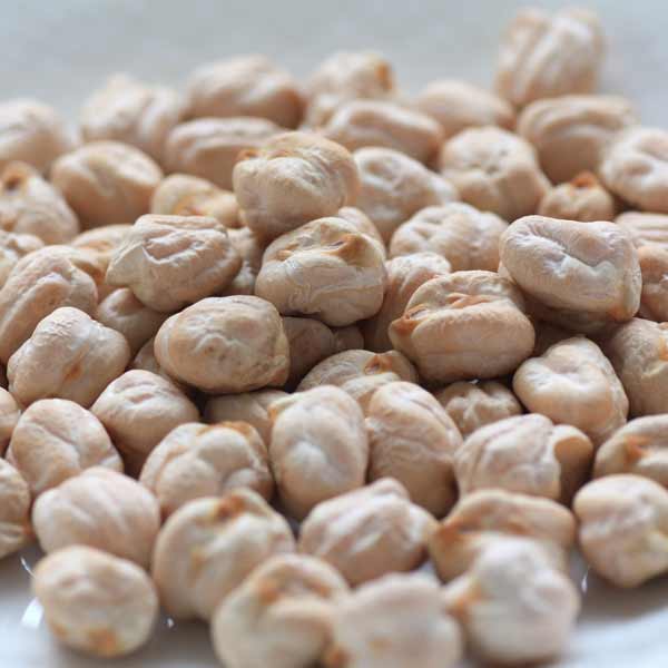 園芸ネット本店｜ヒヨコマメの種1デシリットル入り（栽培用）[野菜の