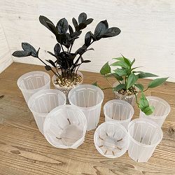 園芸ネット本店｜スリット鉢（透明）：ネガミエル4号ロング＆5号ロング