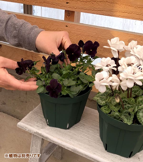 園芸ネット本店｜とんでもないポット：4.5号CSM-135（モスグリーン）5